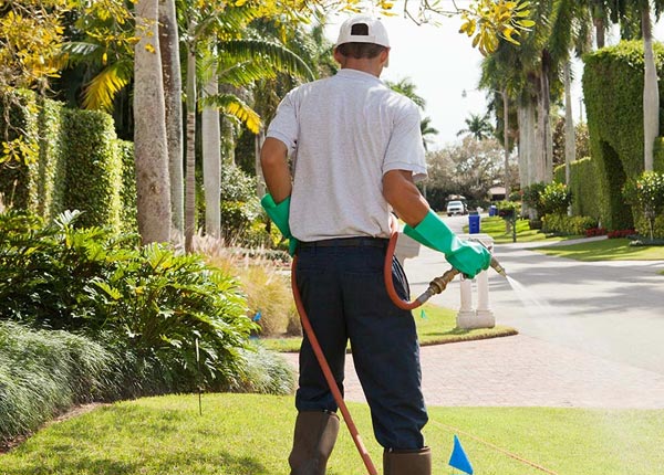 About Norfolk NY Pest Control